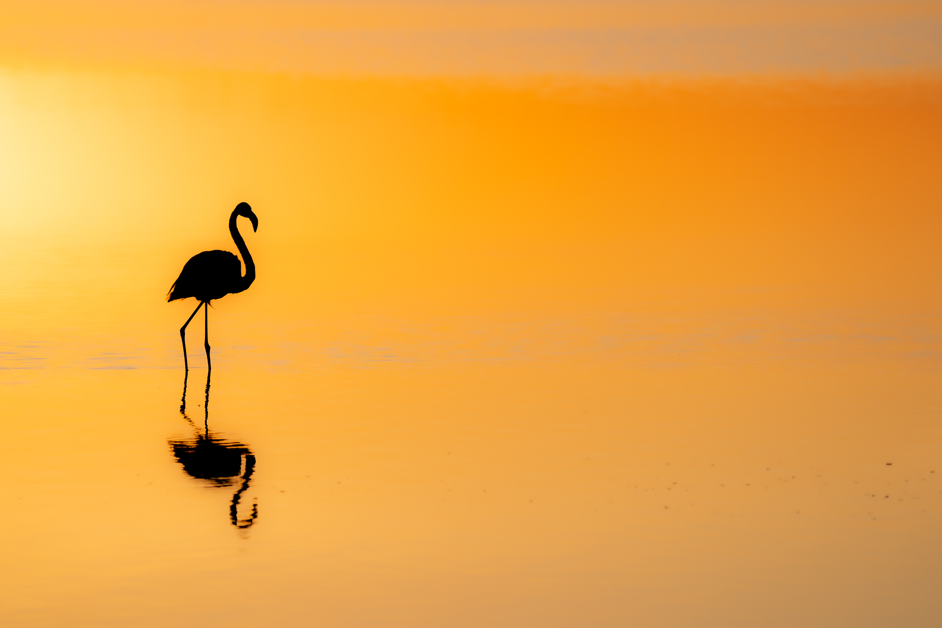 Golden Sunset—Masai Mara, 2021.jpg
